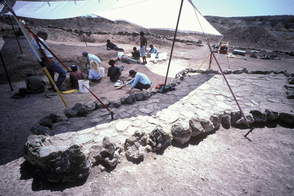 The dig in Ethiopia at the Aramis