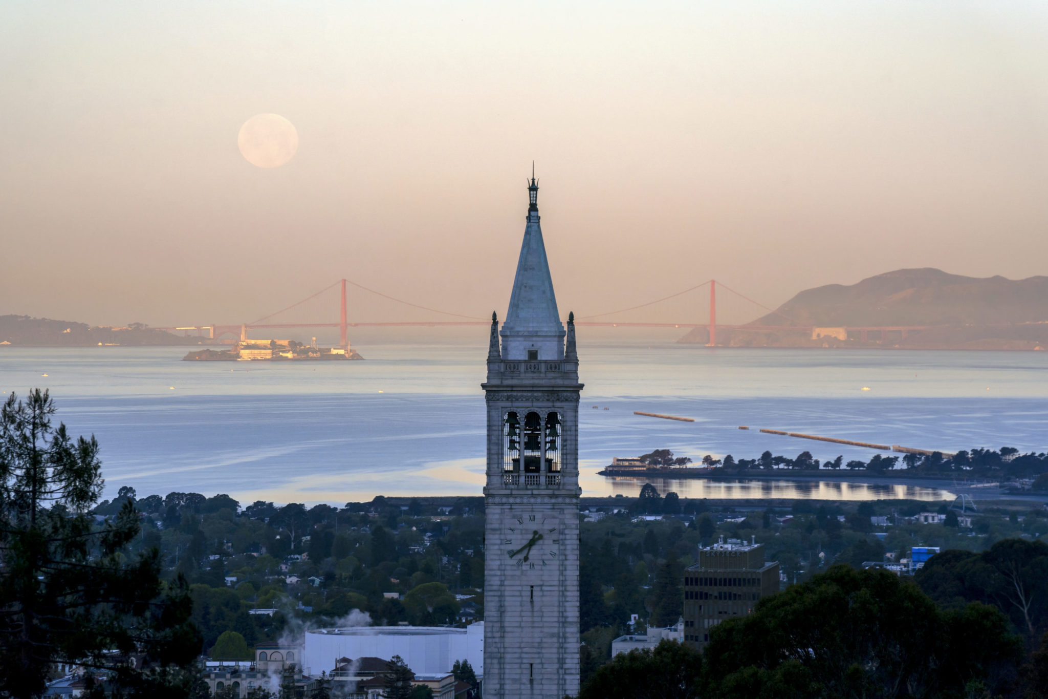 image of campanile over the Bay