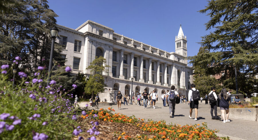 berkeley phd programs