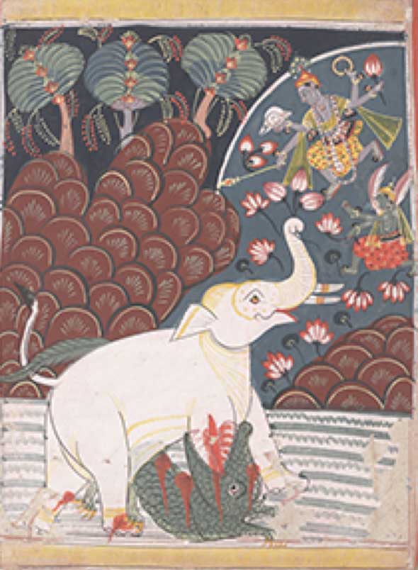 The current show is The Elephant’s Eye: Artful Animals in South & Southeast Asia, March 5, 2014 - June 29, 2014.