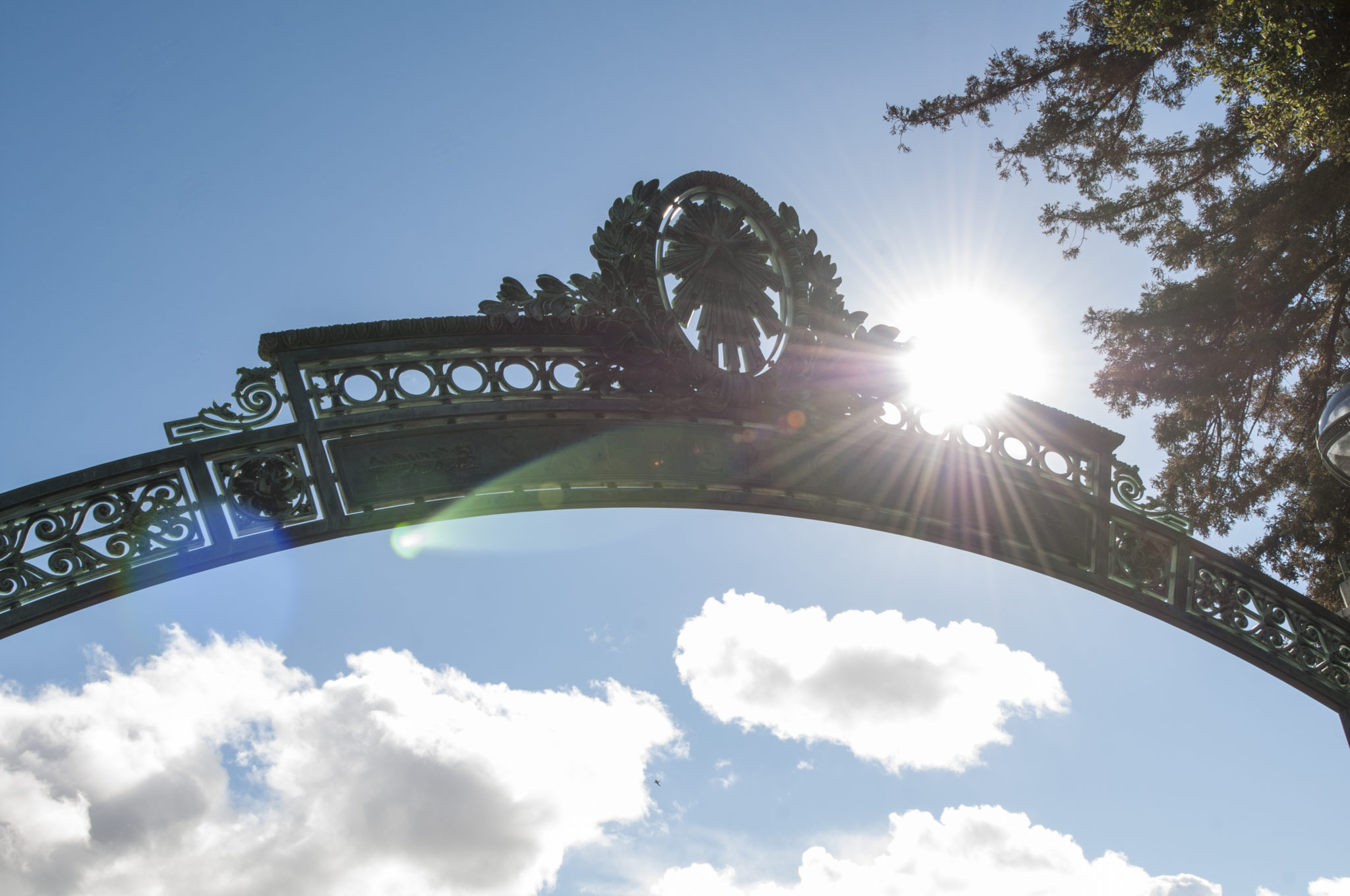 top of sather gate against the sun