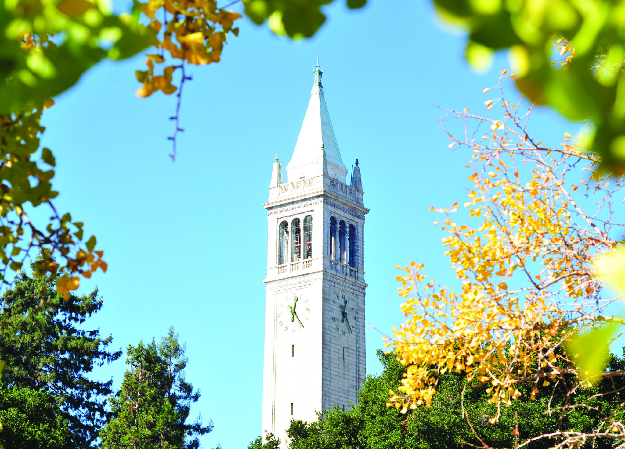 View of the Campanile from Morrisson Hall