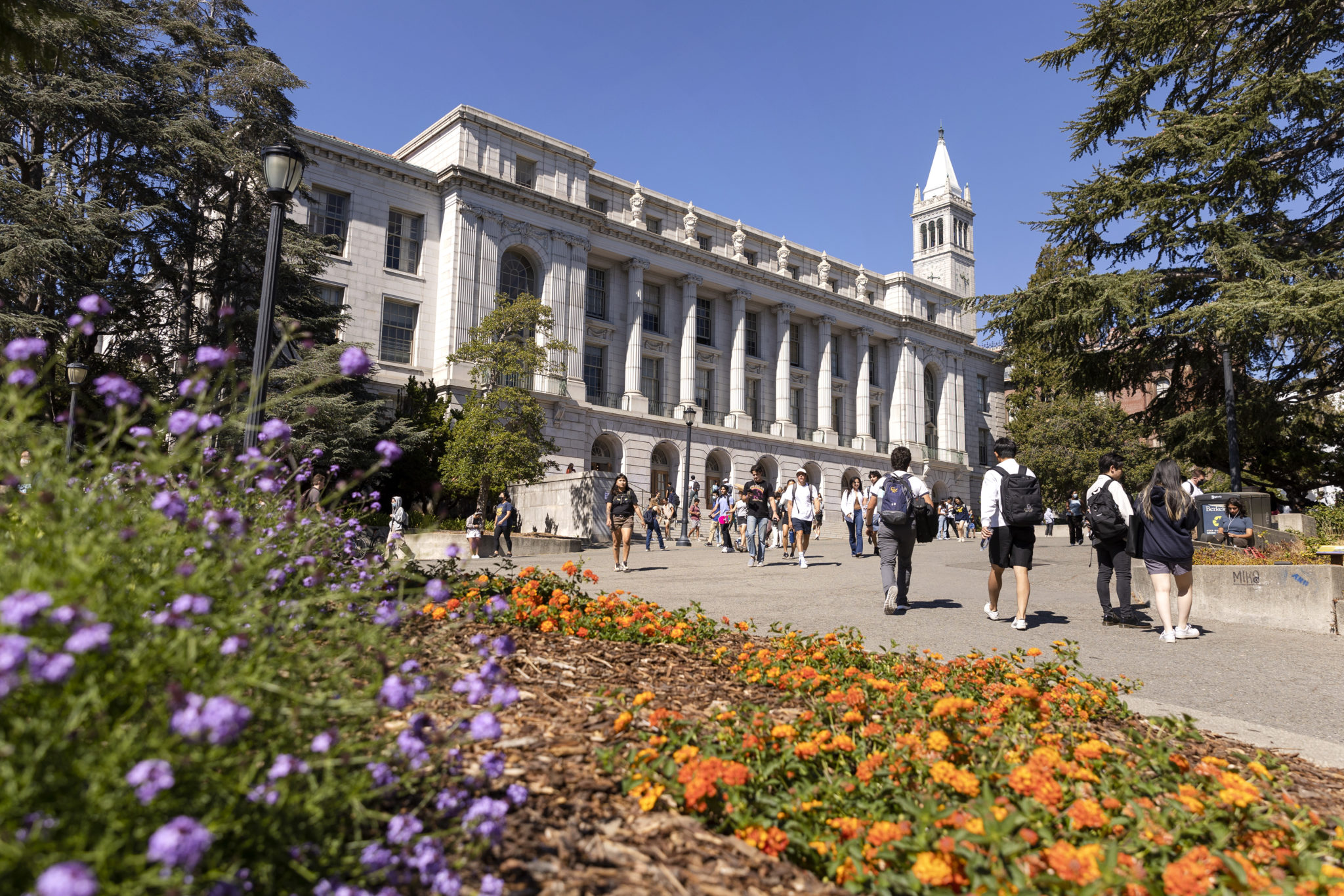 students walking on campus with flowers in the foreground