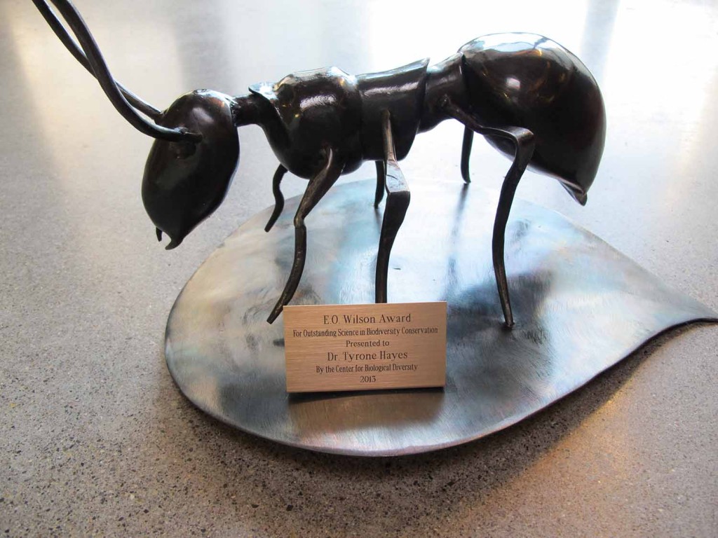 E.O. Wilson Award shaped like ant