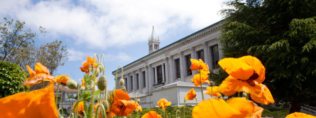 A photo of an academic building with Greek columns and orange poppies in the foreground