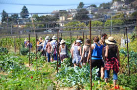 Building Equitable and Inclusive Foods Systems at UC Berkeley