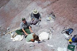Revueltosaurus quarry excavation, June 2004. Clockwise from left: Randall Irmis, Jeff Martz and Lori Browne. (National Park Service photo)