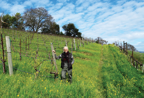 George Rubissow stands knee-deep in mustard next to his Carbernet vines.