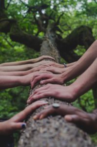 Photo of various hands on a tree trunk